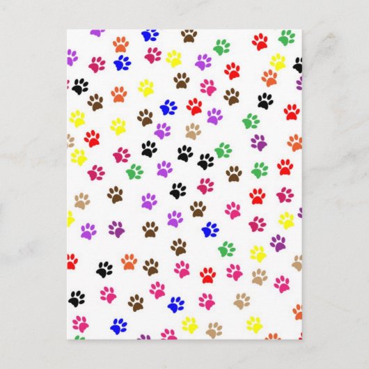 Paws Postkarte (Vorderseite)