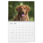 Paws Through the Seasons Calendar Kalender (Mär 2027)