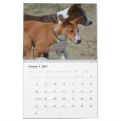 Paws Through the Seasons Calendar Kalender (Jan 2027)
