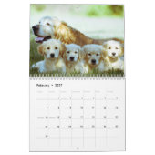 Paws Through the Seasons Calendar Kalender (Feb 2027)