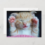 Paws up Kitty Postkarte (Vorne/Hinten)