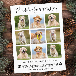 Pawsitiv Bestes Jahr je Hund Haustier Foto Collage Postkarte
