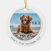 Pawsitiv Covid Quarantine Green Dog Pet Foto Keramik Ornament (Vorne)