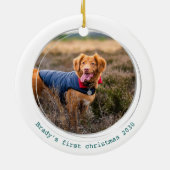 Pawsitiv Covid Quarantine Green Dog Pet Foto Keramik Ornament (Hinten)