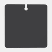 Pawsitiv Fabulous Cat Ornament Aus Metall (Rückseite)