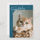 Pawsitiv festes Cat Foto Aquamarin Weihnachten (Vorderseite)