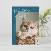 Pawsitiv festes Cat Foto Aquamarin Weihnachten (Stehend Vorderseite)