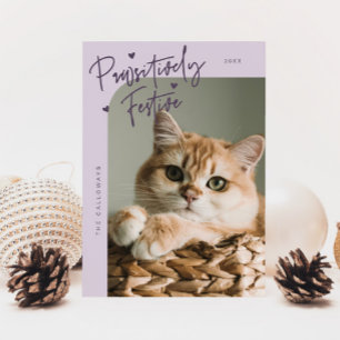 Pawsitiv festes Cat Foto Lila Weihnachten