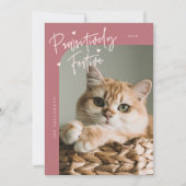 Pawsitiv festes Cat Foto Rosa Weihnachten (Vorderseite)