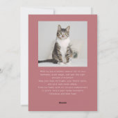 Pawsitiv festes Cat Foto Rosa Weihnachten (Rückseite)