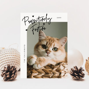 Pawsitiv festes Cat Foto Weißes Weihnachtsfest Feiertagskarte