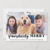 Pawsitiv fröhliches, modernes, individuelles Foto Feiertagskarte (Vorderseite)