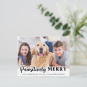 Pawsitiv fröhliches, modernes, individuelles Foto  Postkarte (Stehend Vorderseite)