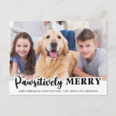 Pawsitiv fröhliches, modernes, individuelles Foto  Postkarte (Vorderseite)