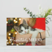 Pawsitiv Merry Custom Pet Cat Foto Weihnachten (Stehend Vorderseite)