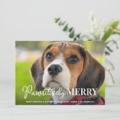 Pawsitiv Merry Custom Pet Hund Foto Weihnachten (Stehend Vorderseite)