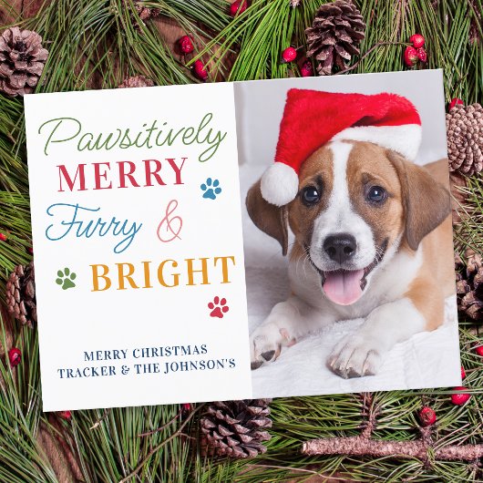 Pawsitiv Merry Furry & Bright Custom Pet Foto Postkarte