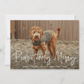 Pawsitiv Merry Red Pet Foto Feiertagskarte (Vorderseite)
