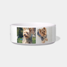 "Pawsitiv Personalisierte Yorkie Medium Bowl