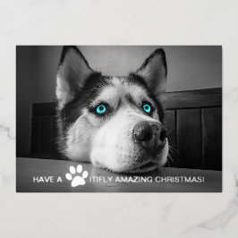 Pawsitiv Phantastisches Weihnachts Custom Dog Foto Folien Feiertagskarte