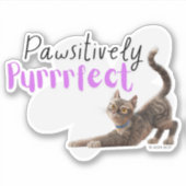 Pawsitiv Purfect Aufkleber (Vorderseite)