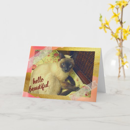 Pawsitiv Purfect Day mit siamesischer Katzen Colla Karte (Gelbe Blume)