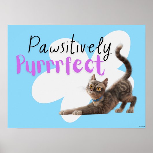 Pawsitiv Purfect Poster (Vorne)
