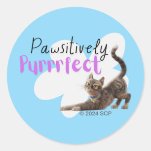 Pawsitiv Purfect Runder Aufkleber