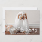 Pawsitiv Spooky Halloween Foto Feiertagskarte (Vorderseite)