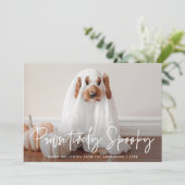 Pawsitiv Spooky Halloween Foto Feiertagskarte (Stehend Vorderseite)