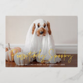 Pawsitiv Spooky Halloween Foto Folien Feiertagskarte (Vorderseite)