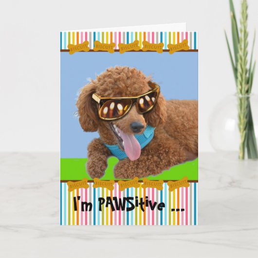 Pawsitive Birthday Red Poodle in Shades Karte (Vorderseite)