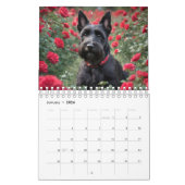 Pawsitive Tage: Hunde für jeden Monat, Kalender (Jan 2026)
