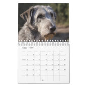 Pawsitive Tage: Hunde für jeden Monat, Kalender (Mär 2026)