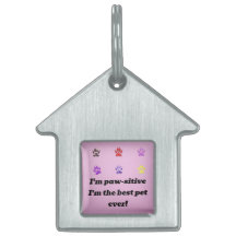 Pawsitive Vibes Gerahmt Pet Tag