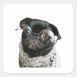Pawsitively Hilarious: Doggone Funny Momente Quadratischer Aufkleber