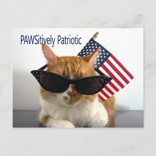 PAWSitively Patriotic Cat Postcard Postkarte (Vorderseite)