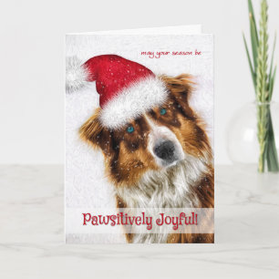 Pawsively Joyful Australian Shepherd Santa Feiertagskarte