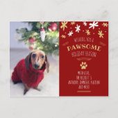 Pawsome Holiday Season Pet Holiday Foto Ankündigungspostkarte (Vorderseite)
