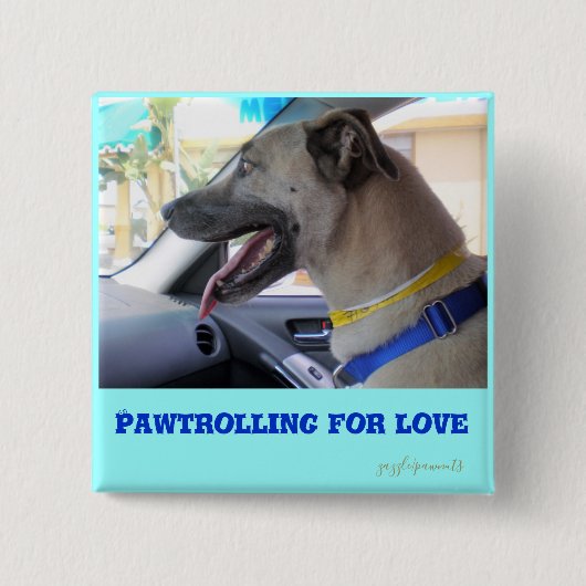 Pawtrolling Button (Vorderseite)