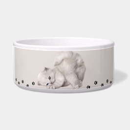 "Pawyer Bowl"? Kitten 🐾 ✨ Napf