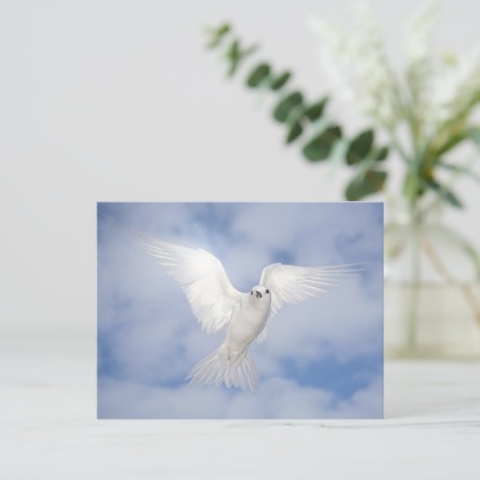 Pax Postkarte (Stehend Vorderseite)