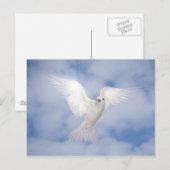 Pax Postkarte (Vorne/Hinten)