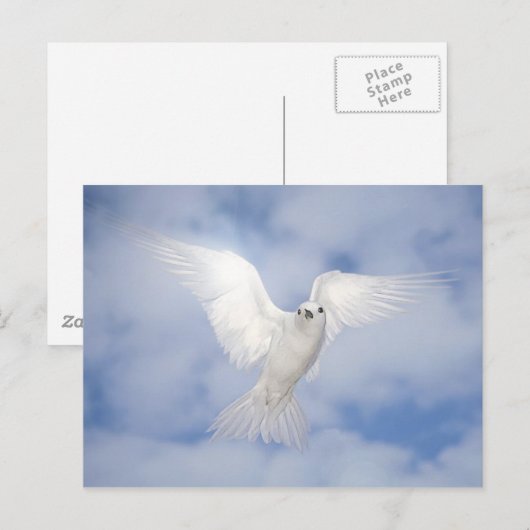 Pax Postkarte (Vorne/Hinten)