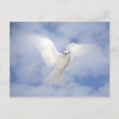 Pax Postkarte (Vorderseite)