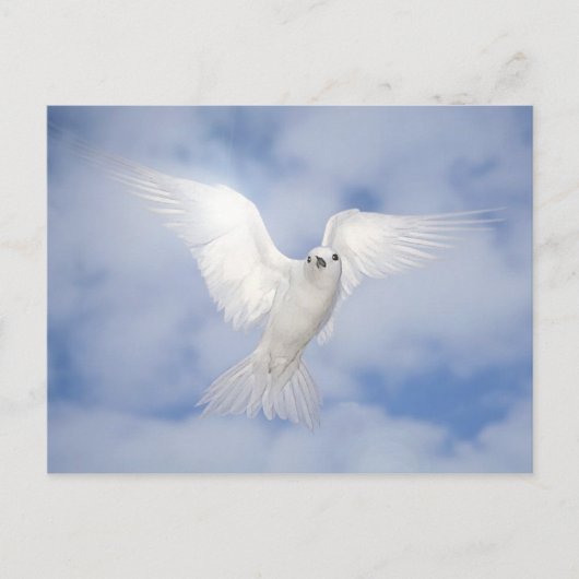 Pax Postkarte (Vorderseite)