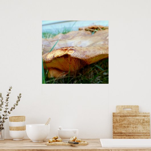 Paxillus involutus poster (Küche)