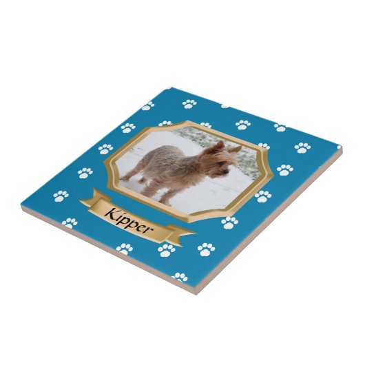 Pay Print Pet Foto Blau Fliese (Seite)