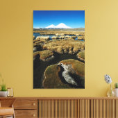 Payachalas Volcanos Leinwanddruck (Insitu (Wohnzimmer))