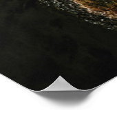 Payachalas Volcanos Poster (Ecke)